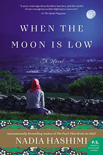 Book Cover When the Moon Is Low: A Novel