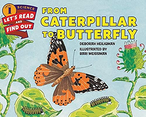 Book Cover From Caterpillar to Butterfly (Let's-Read-and-Find-Out Science 1)