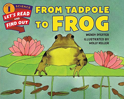 Book Cover From Tadpole to Frog (Let's-Read-and-Find-Out Science 1)
