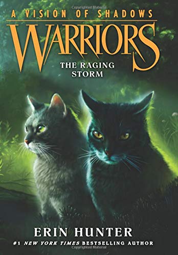 Book Cover Warriors: A Vision of Shadows #6: The Raging Storm