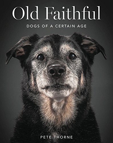 Book Cover Old Faithful: Dogs of a Certain Age