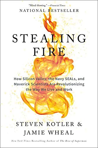 Book Cover Stealing Fire: How Silicon Valley, the Navy SEALs, and Maverick Scientists Are Revolutionizing the Way We Live and Work