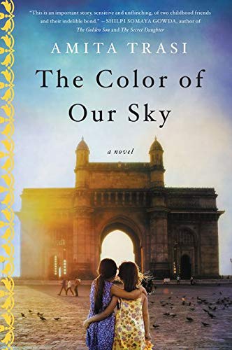 Book Cover The Color of Our Sky: A Novel