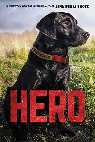 Book Cover Hero (Hero, 1)