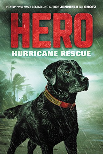 Book Cover Hero: Hurricane Rescue