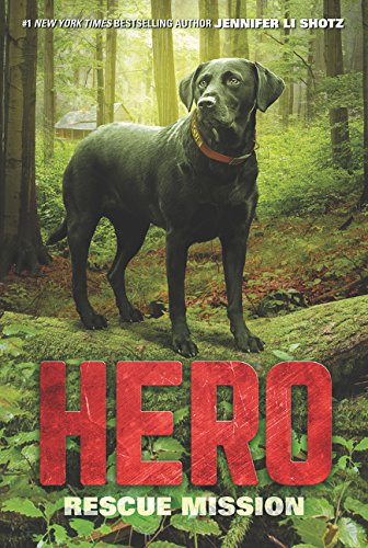 Book Cover Hero: Rescue Mission