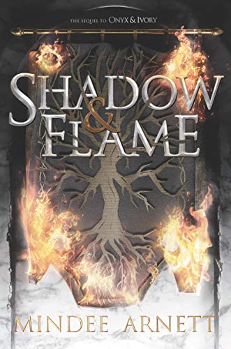 Book Cover Shadow & Flame