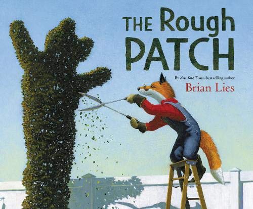 Book Cover The Rough Patch
