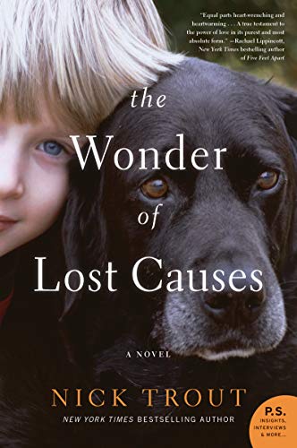 Book Cover The Wonder of Lost Causes: A Novel