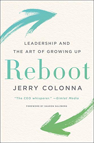 Book Cover Reboot: Leadership and the Art of Growing Up