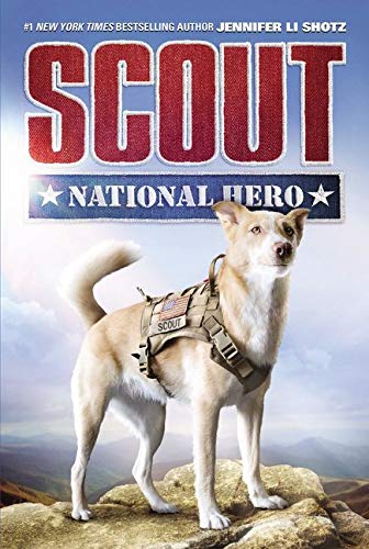 Book Cover Scout: National Hero (Scout, 1)