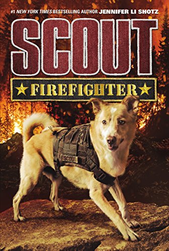 Book Cover Scout: Firefighter