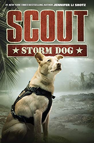 Book Cover Scout: Storm Dog