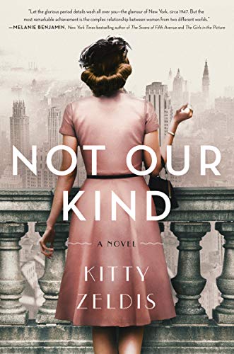 Book Cover Not Our Kind: A Novel
