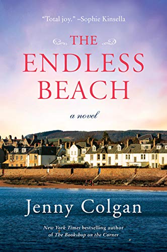 Book Cover The Endless Beach: A Novel