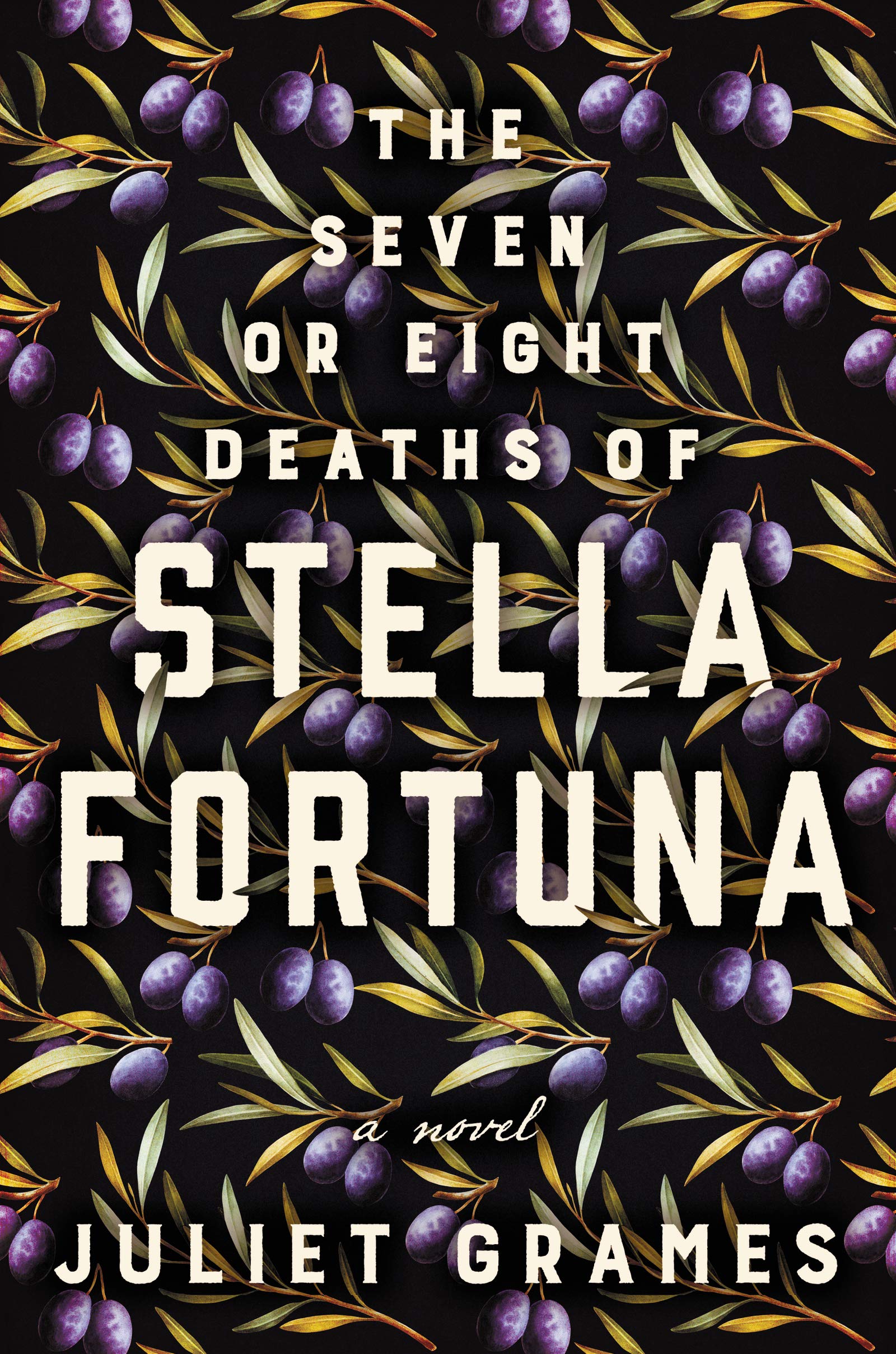 Book Cover The Seven or Eight Deaths of Stella Fortuna: A Novel