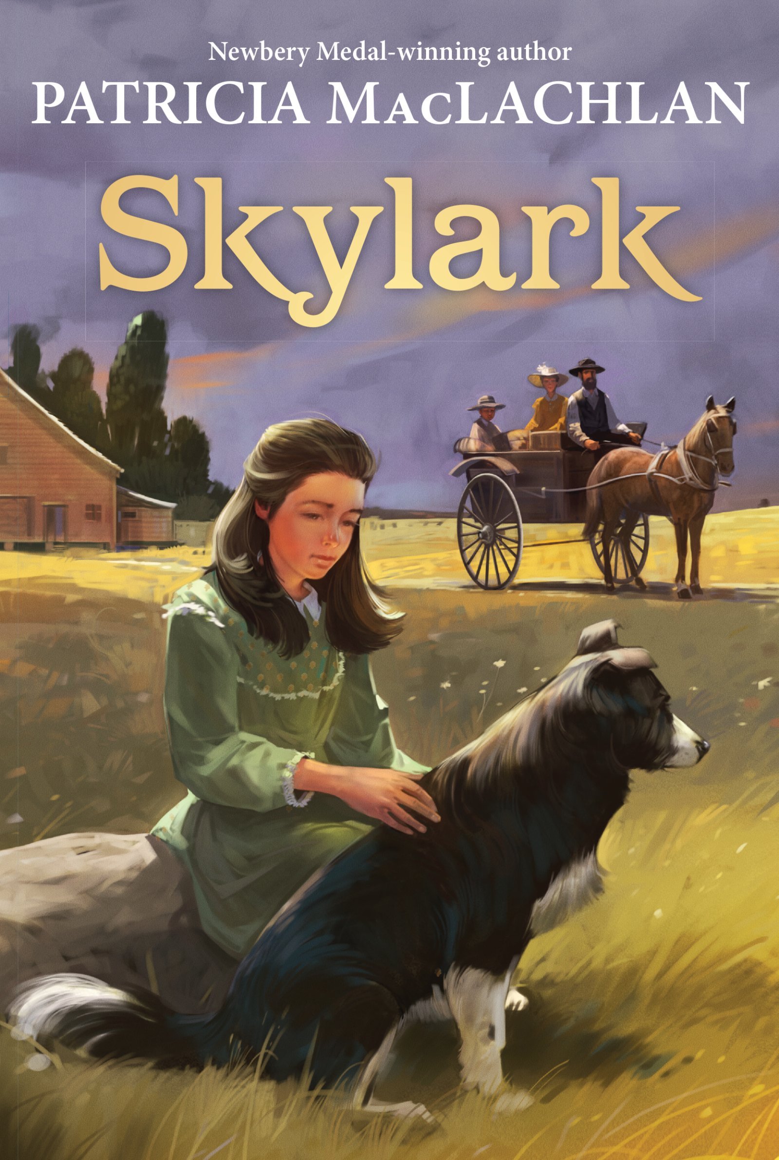 Book Cover Skylark (Sequel to 