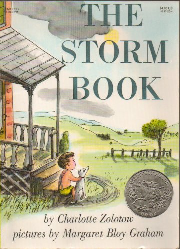 Book Cover The Storm Book