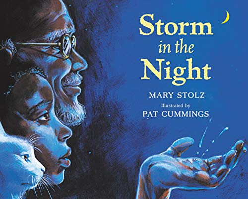 Book Cover Storm in the Night