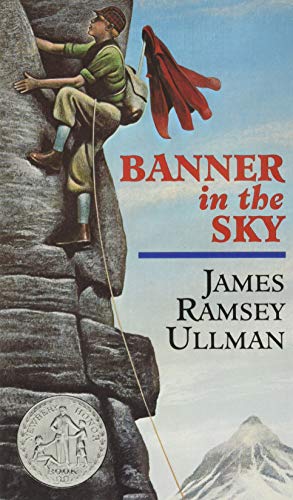 Book Cover Banner in the Sky