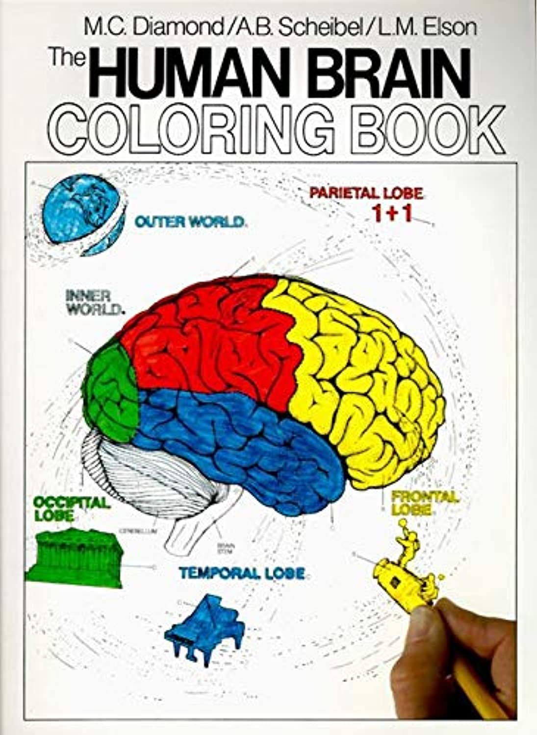 Book Cover The Human Brain Coloring Book: A Coloring Book (Coloring Concepts)