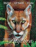 beginning & intermediate algebra