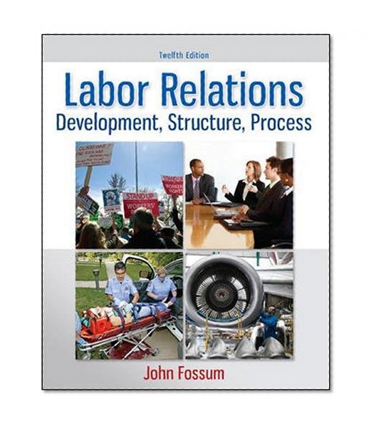 Book Cover Labor Relations: Development, Structure, Process