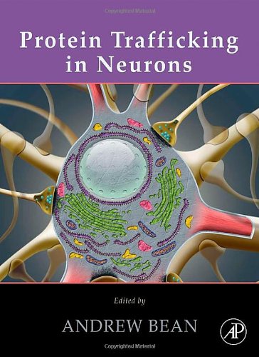 Protein Trafficking in Neurons