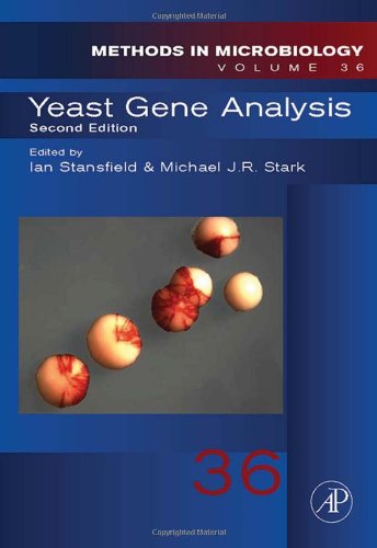 Yeast Gene Analysis, Volume 36, Second Edition (Methods in Microbiology)