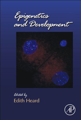 Epigenetics and Development, Volume 104 (Current Topics in Developmental Biology)