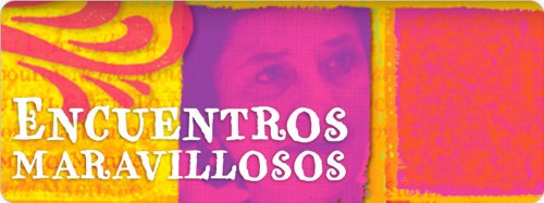 Encuentros Maravillosos: GramÃ¡tica a TravÃ© De La Literatura, 2nd Edition