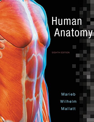 Book Cover Human Anatomy (8th Edition)