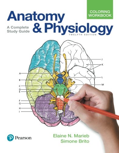 Book Cover Anatomy and Physiology Coloring Workbook: A Complete Study Guide (12th Edition)