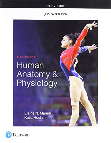 Book Cover Study Guide for Human Anatomy & Physiology