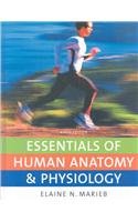 Book Cover Essentials of Human Anatomy & Physiology