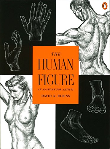 Book Cover The Human Figure: An Anatomy for Artists