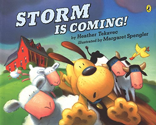 Book Cover Storm Is Coming!