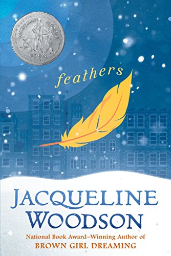 Book Cover Feathers