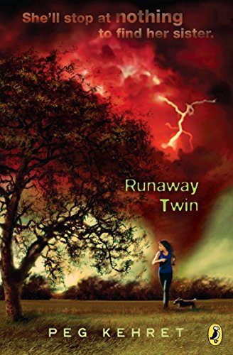 Book Cover Runaway Twin