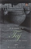 In the Shadow of the Taj: A Portrait of Agra