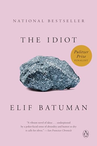 Book Cover The Idiot: A Novel