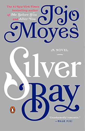 Book Cover Silver Bay: A Novel