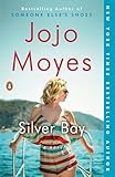 Silver Bay: A Novel