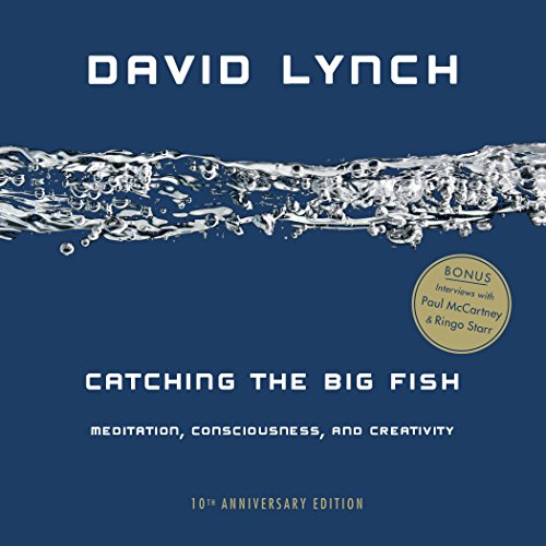 Book Cover Catching the Big Fish: Meditation, Consciousness, and Creativity: 10th Anniversary Edition