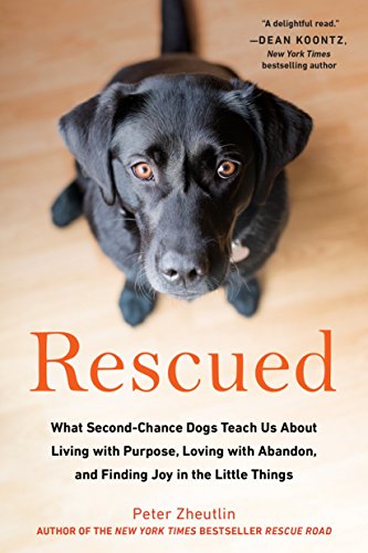 Book Cover Rescued: What Second-Chance Dogs Teach Us About Living with Purpose, Loving with Abandon, and Finding Joy in the Little Things