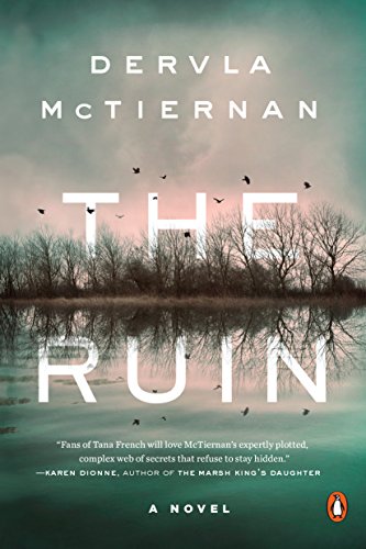 Book Cover The Ruin: A Novel (A Cormac Reilly Mystery)