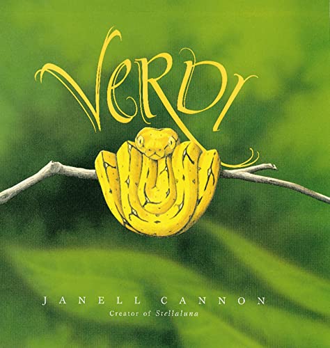 Book Cover Verdi
