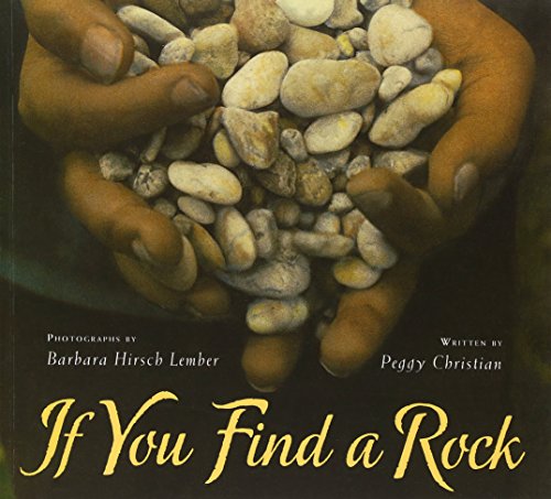Book Cover If You Find a Rock