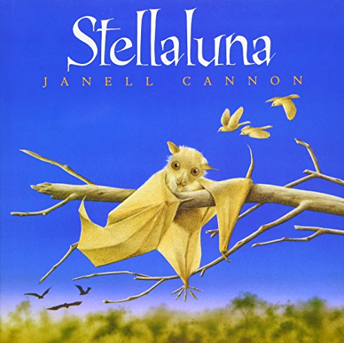 Book Cover Stellaluna