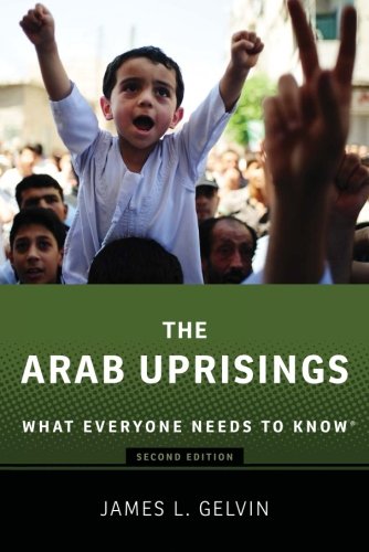Book Cover The Arab Uprisings: What Everyone Needs to Know®